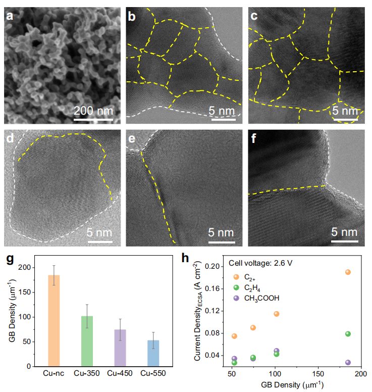 大连化物所汪国雄&高敦峰，最新Nature子刊！