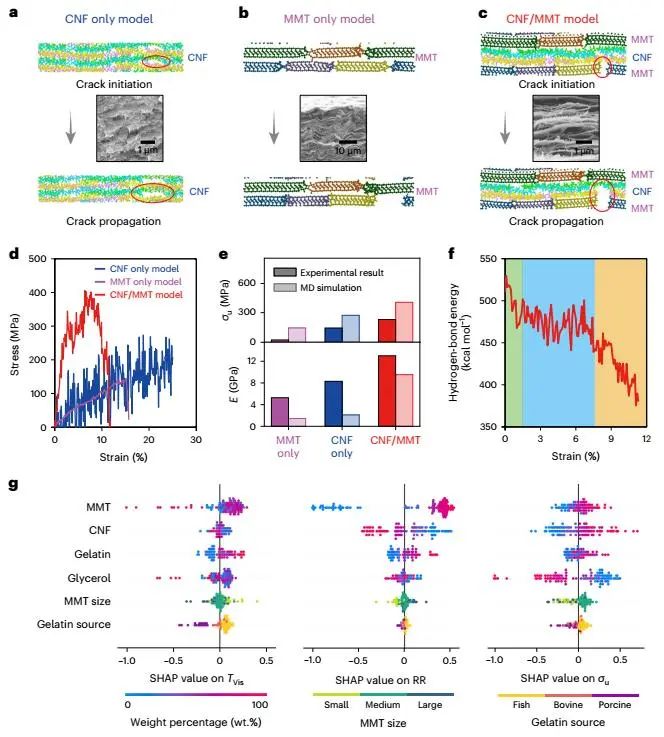 胡良兵/李腾等，最新Nature Nanotechnology！