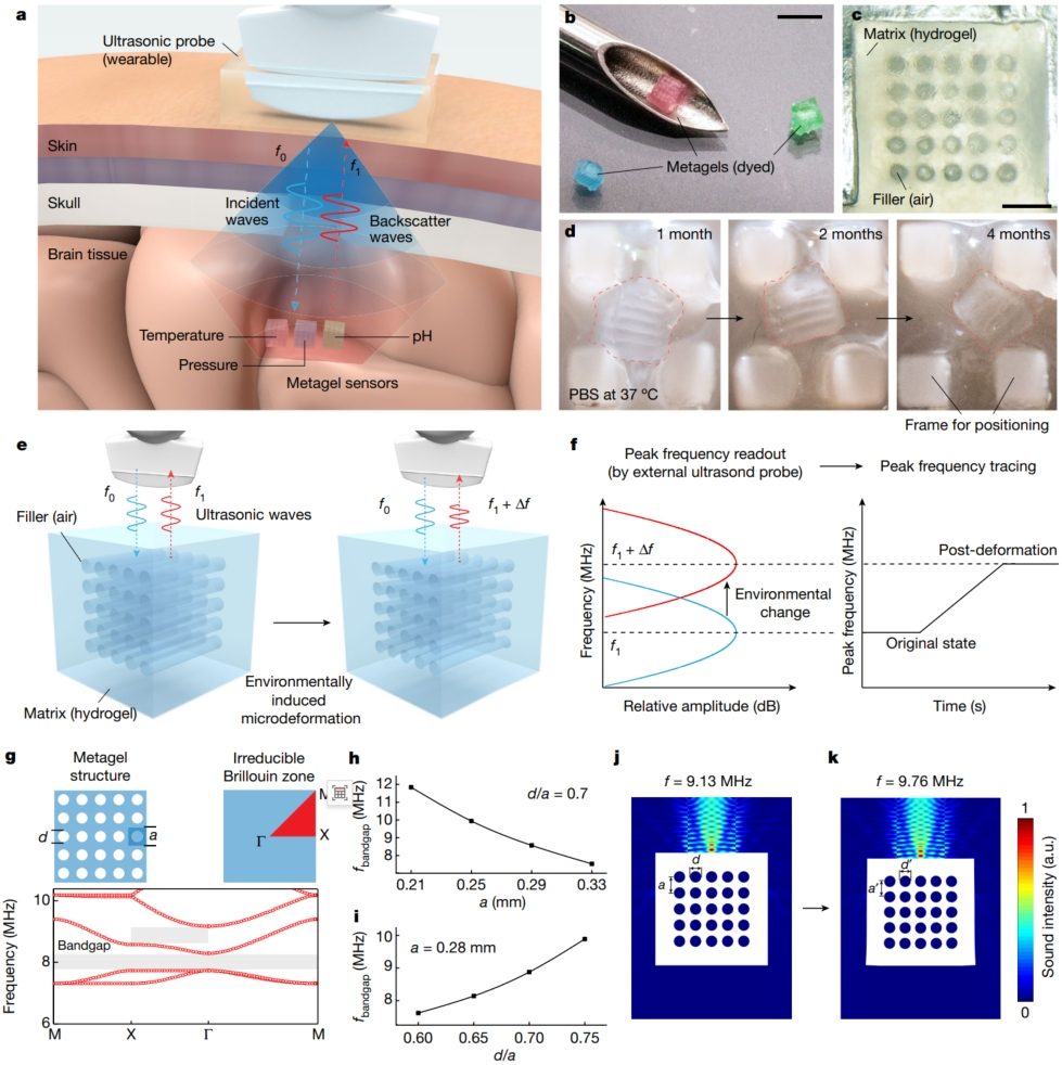 华中科技大学，最新Nature！