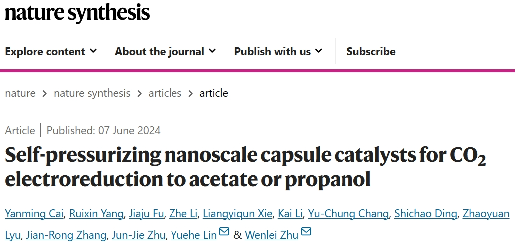 朱文磊/林跃河，最新Nature Synthesis！