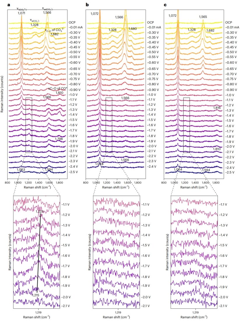 朱文磊/林跃河，最新Nature Synthesis！