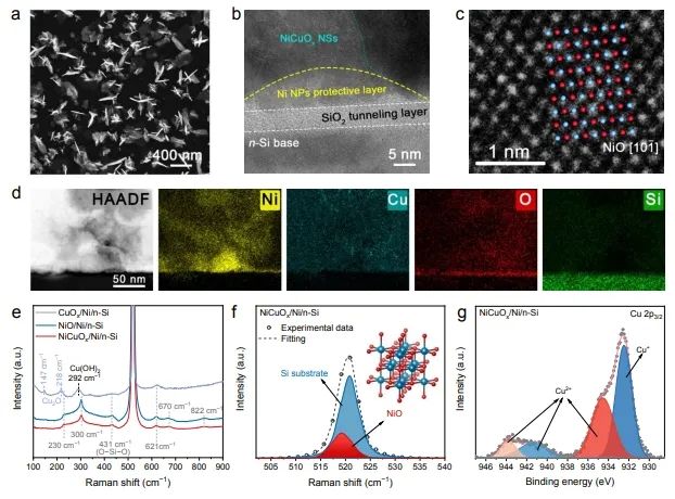 ​化学所EES: n-Si上构建Ni-Cu位点，通过N-O耦合途径选择性生成NOx−