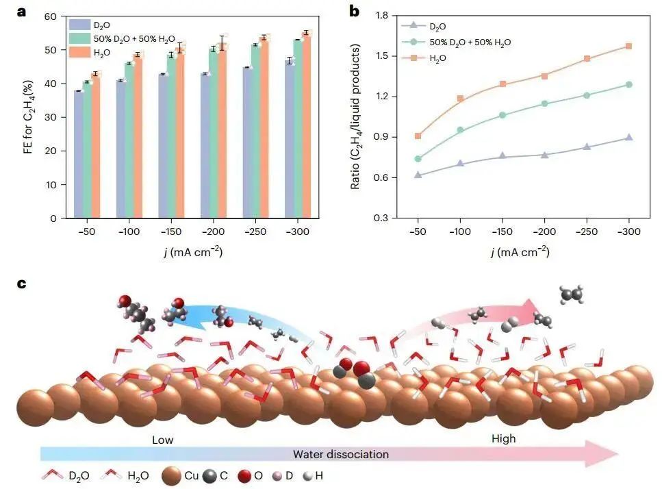 两位院士领衔！最新Nature Synthesis！