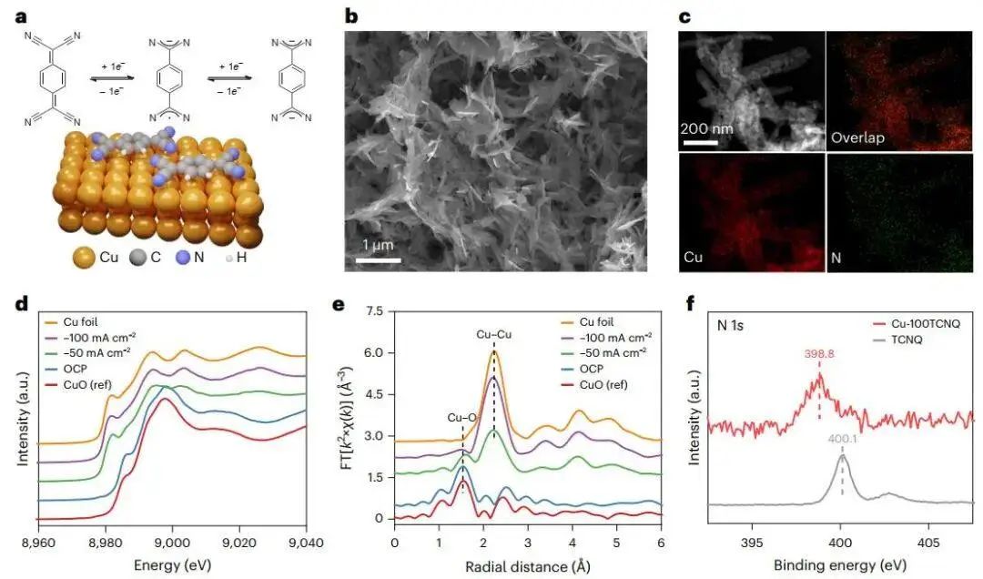 两位院士领衔！最新Nature Synthesis！