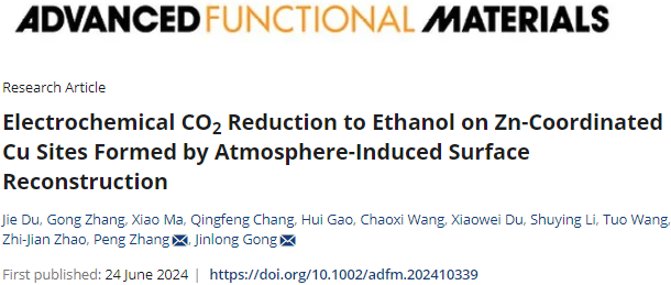 天津大学巩金龙团队，最新AFM！