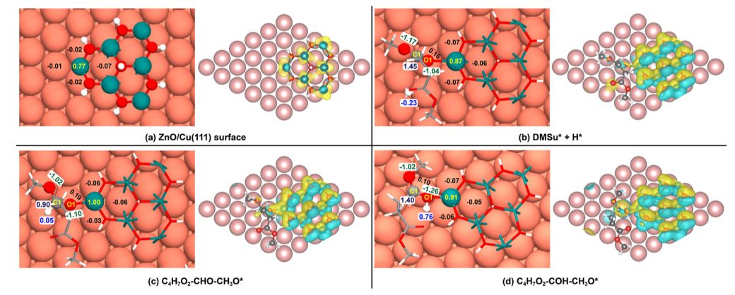 天津大学余英哲，最新ACS Catalysis！