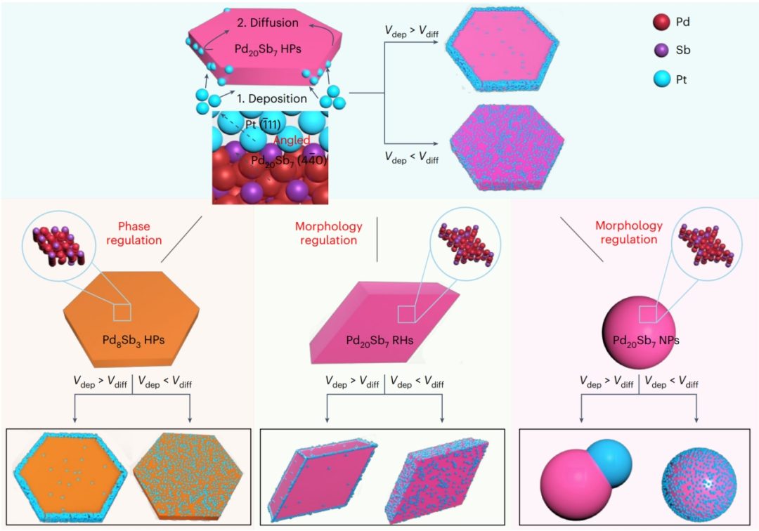 厦大「国家杰青」黄小青联手苏大邵琪，最新Nature Nanotechnology！