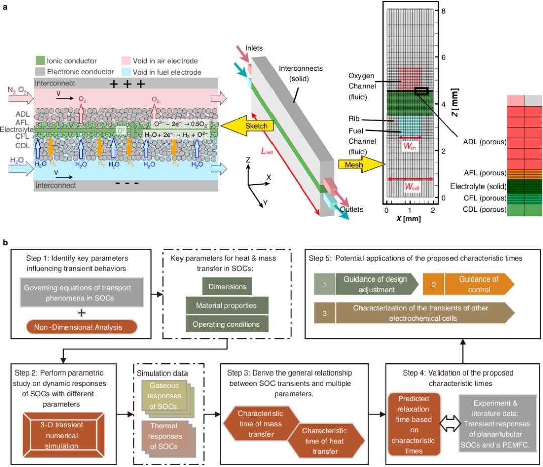 香港理工大学李梦颖，最新Nature子刊！