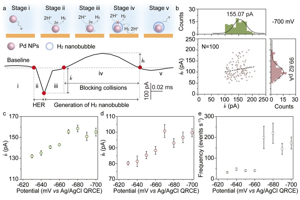 电催化，最新JACS！