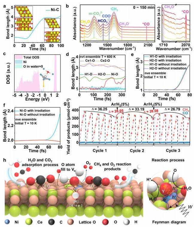 选择性接近100%！东大&西安交大最新Nature子刊！