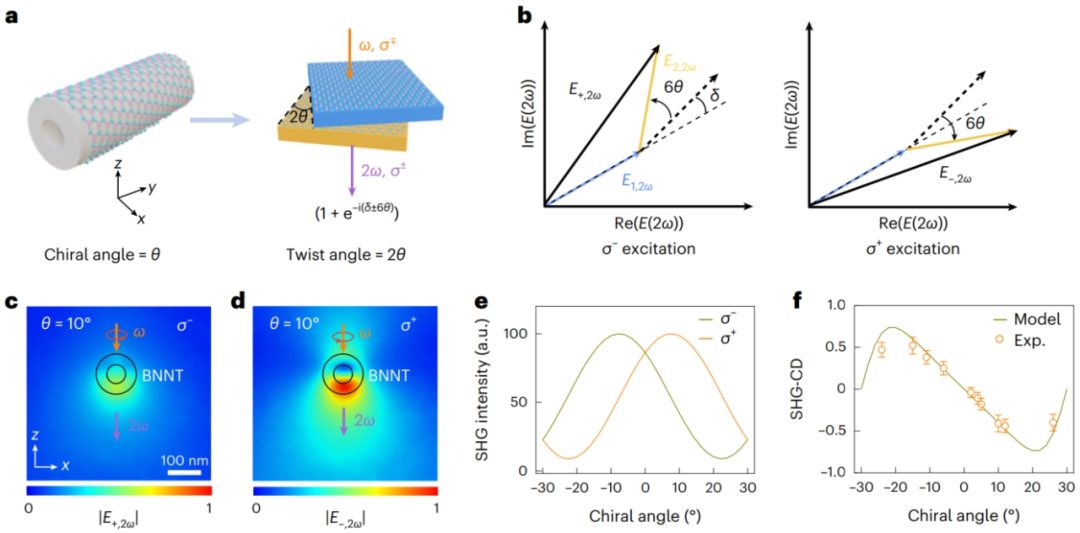 北京大学，新发Nature Nanotechnology！