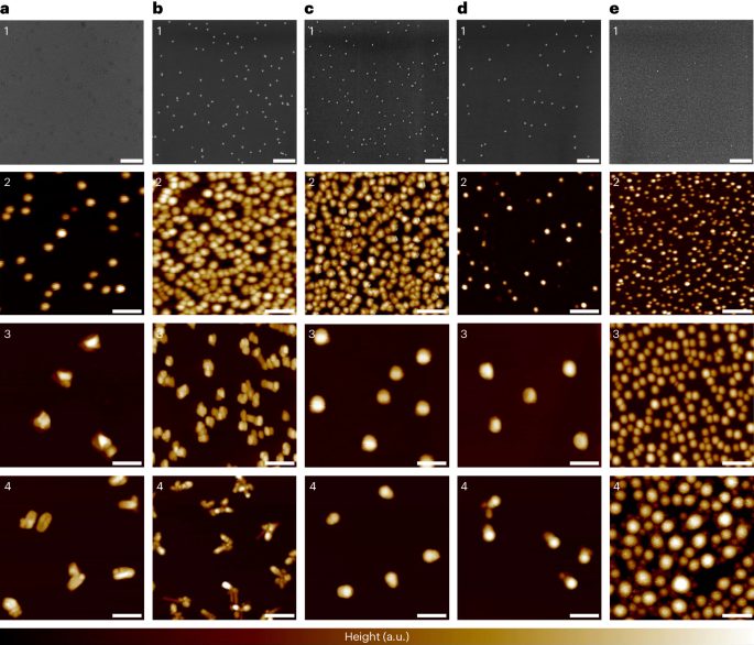 量子点，最新Nature Synthesis！