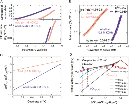 帝国理工Nature Catalysis + JACS：二氧化铱水氧化光谱电化学新发现