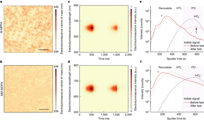 上海大学，2024年最新Nature！