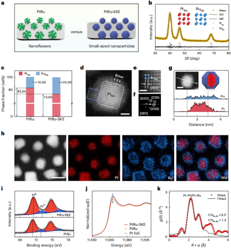 厦门大学「国家杰青」黄小青团队，最新Nature Synthesis!