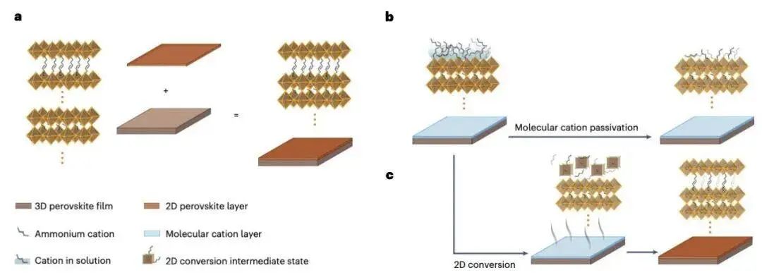 “宇宙第一材料天团”！他，Nature大子刊收割机， 2024年已发12篇大子刊！