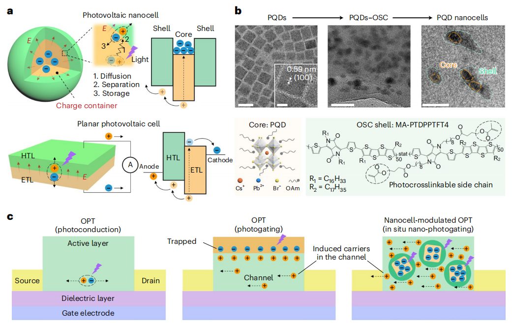 破解领域难题！复旦大学魏大程，最新Nature Nanotechnology！