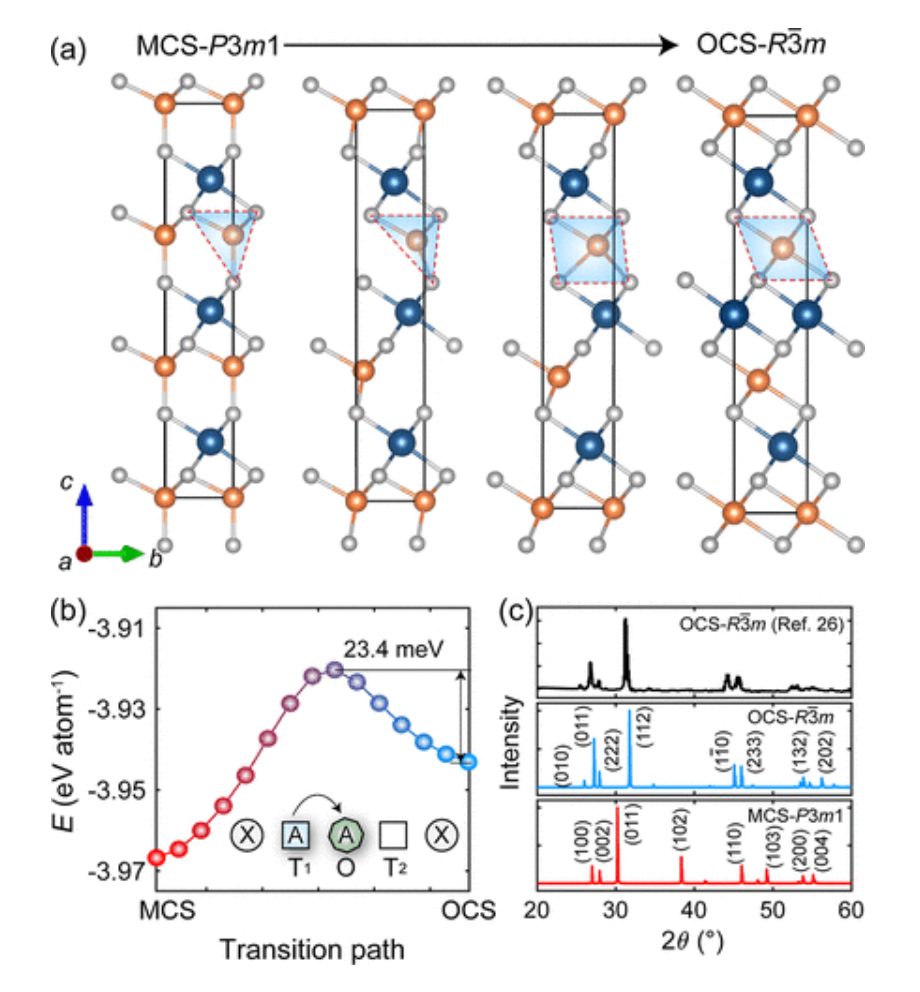 2024年最新纯计算JACS！