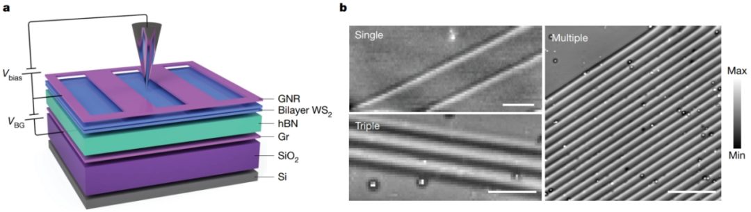 硬核！他，西安交大校友，一作兼通讯，2天连发Science、Nature！