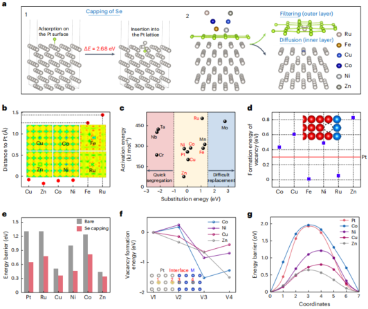 厦门大学「国家杰青」黄小青团队，最新Nature Synthesis!