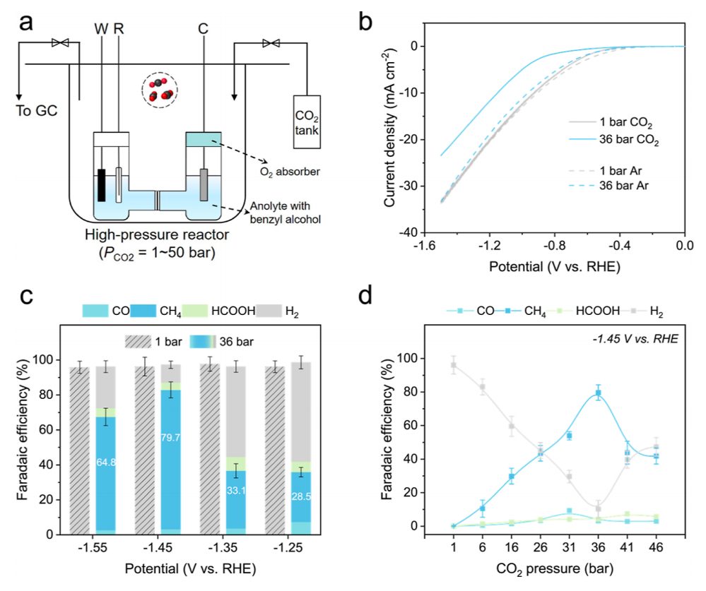 ​他，归国3年获「杰青」，发表最新JACS！