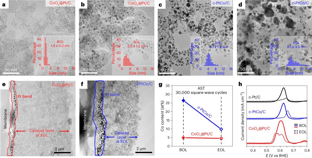 她，顶级名校博士！师从段镶锋/黄昱，一作发表最新Nature Catalysis！