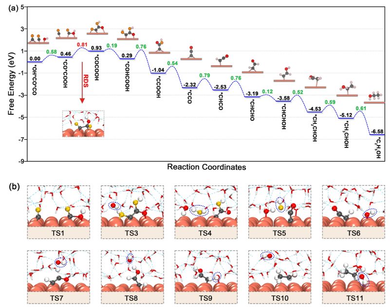 东南大学王金兰/凌崇益团队，最新ACS Catalysis！