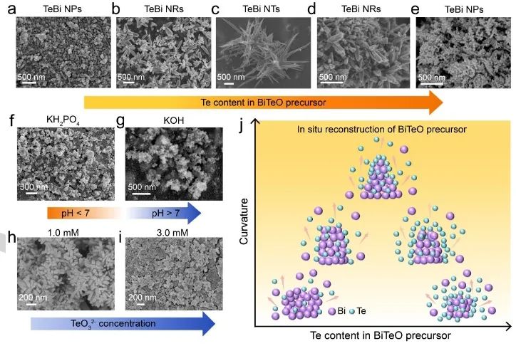 催化进展，8篇顶刊！EES、Angew、AFM、ACS Catalysis、Nano Letters等成果精选！