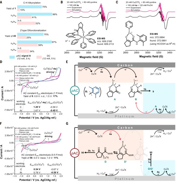 突破世界级难题！武汉大学「杰青」+「长江」+「万人」，最新Science!