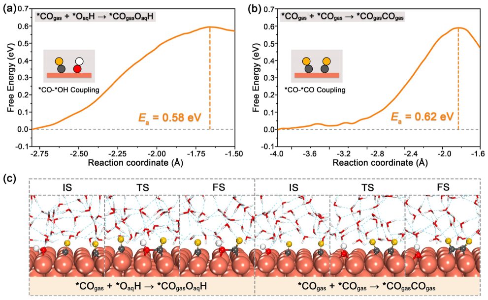 东南大学王金兰/凌崇益团队，最新ACS Catalysis！