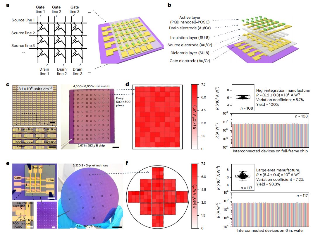 复旦大学，最新Nature Nanotechnology！