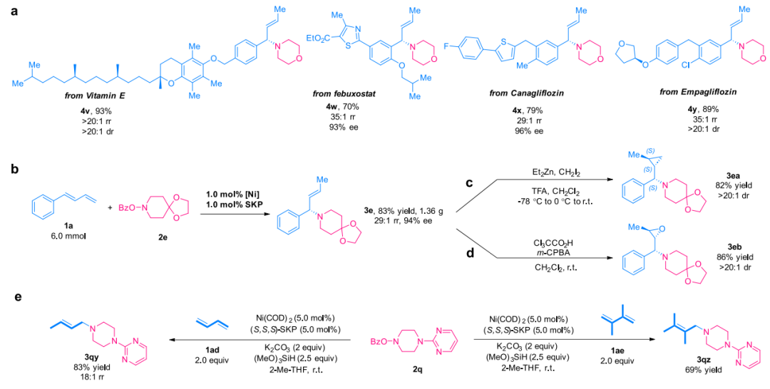 重磅！丁奎岭院士，最新JACS！