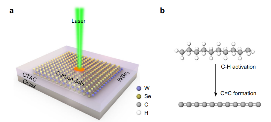 日本东北大李昊/UT Austin郑跃兵最新Nature Commun.：二维材料助力光驱动C-H键活化和长链分子转化