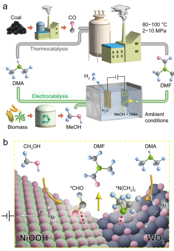 南大钟苗团队，最新JACS！