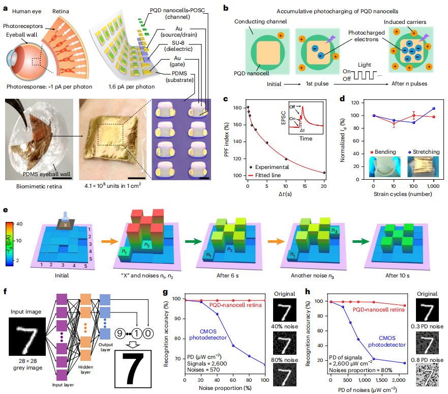 破解领域难题！复旦大学魏大程，最新Nature Nanotechnology！