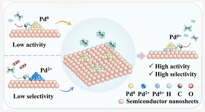 谢毅院士团队，最新JACS！