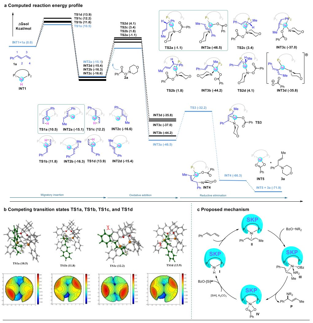 重磅！丁奎岭院士，最新JACS！