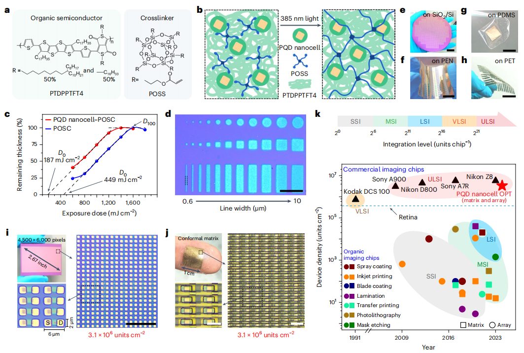 破解领域难题！复旦大学魏大程，最新Nature Nanotechnology！