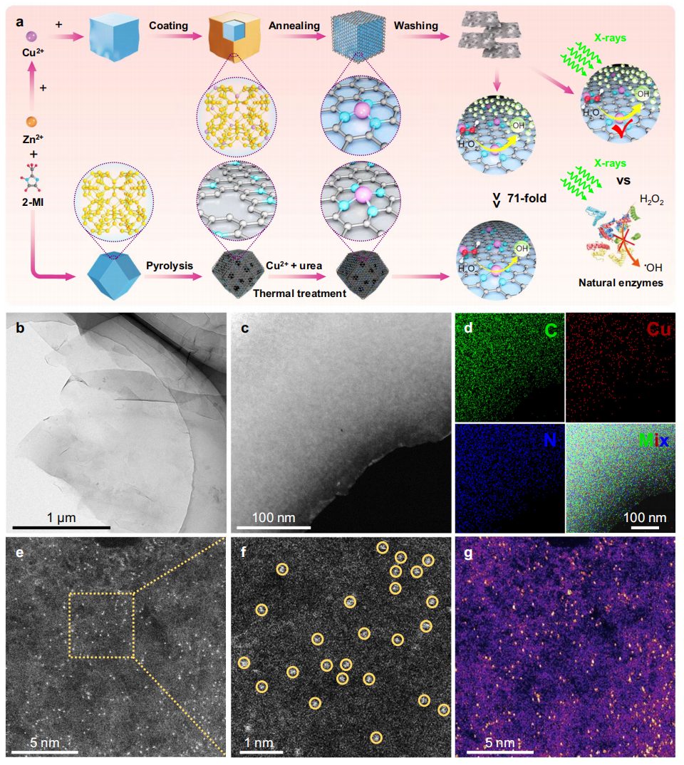 顶刊连连！李亚栋院士团队，三天内连发JACS、Nature子刊！