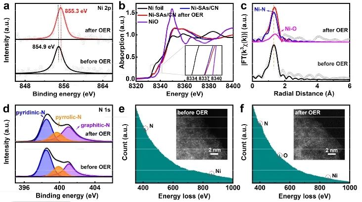 催化进展，8篇顶刊！EES、Angew、AFM、ACS Catalysis、Nano Letters等成果精选！