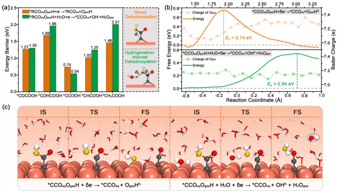 东南大学王金兰/凌崇益团队，最新ACS Catalysis！