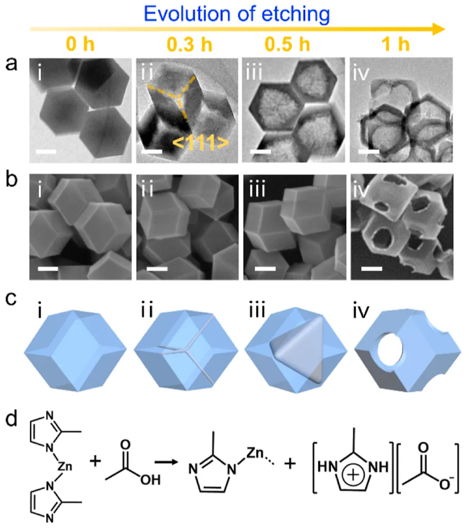 北理王博/王璐，最新JACS！