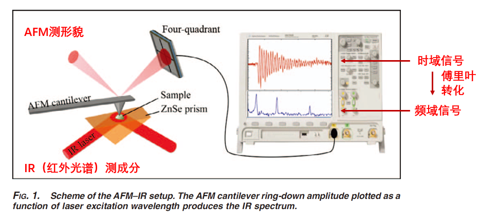 ​明星材料SAM，如何表征？用AFM-IR征服Nature！！