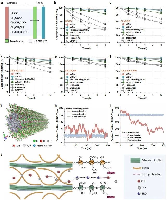 受西瓜皮启发！他，中科院院士，2020年全职回国加盟西湖大学，新发Nature子刊！