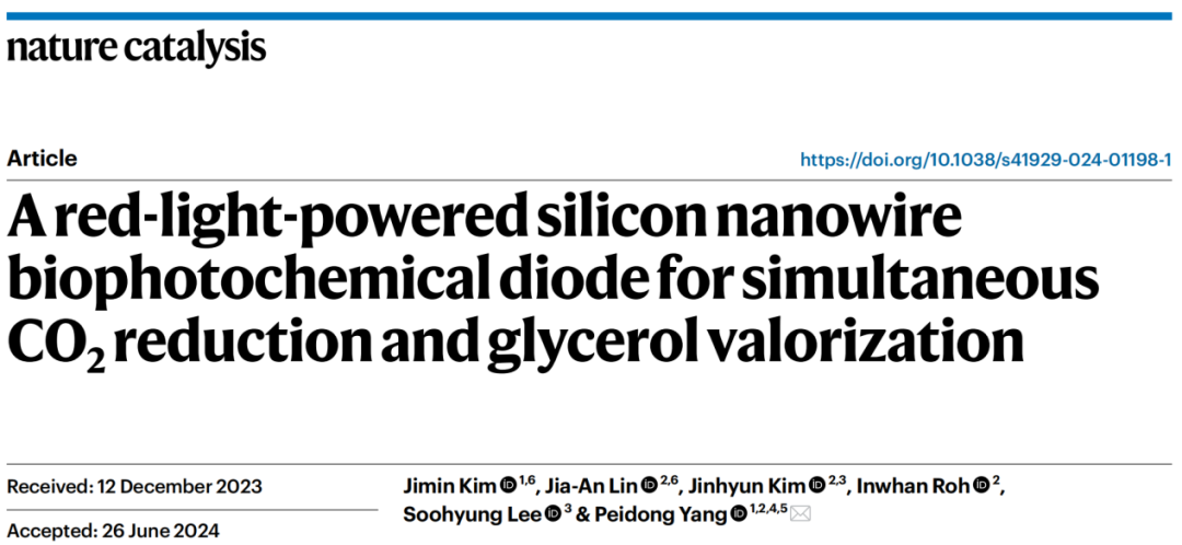 Si纳米线“再续传奇”！三院院士杨培东，最新Nature Catalysis！