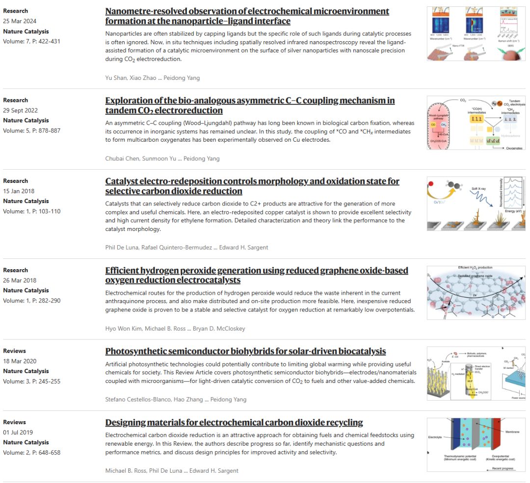 Si纳米线“再续传奇”！三院院士杨培东，最新Nature Catalysis！