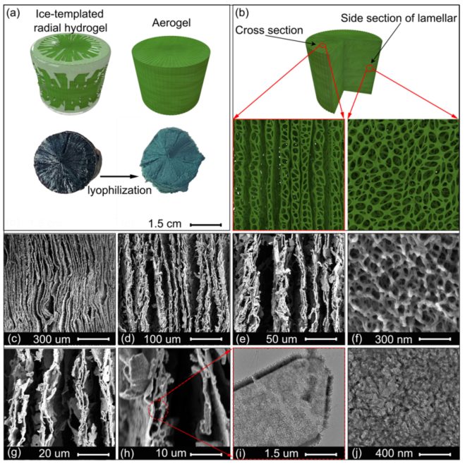 海南大学高艳安/巫继锋&厦门大学白华，最新Nature子刊！