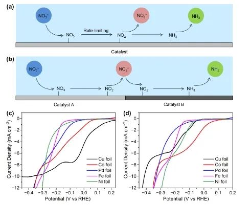 ​冯小峰ACS Energy Lett.: 构建Cu/Co(OH)2串联催化剂，实现NO3−完全转化为NH3