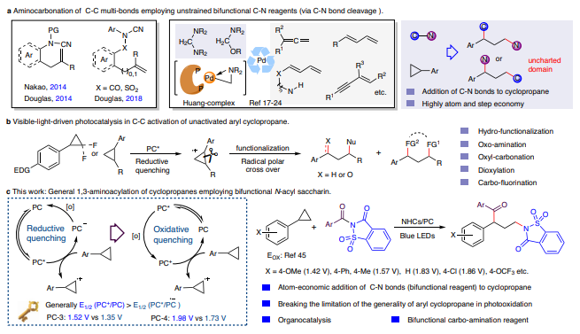 东北师范大学，最新Nature子刊！