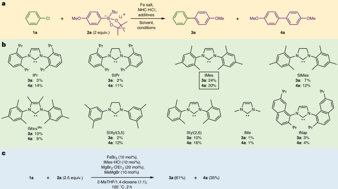 铁基催化，登顶Nature Catalysis！